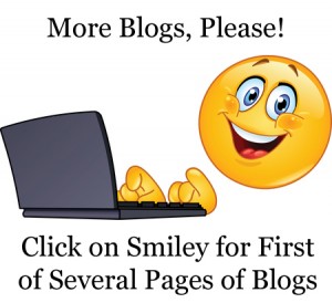 More Blogs copy