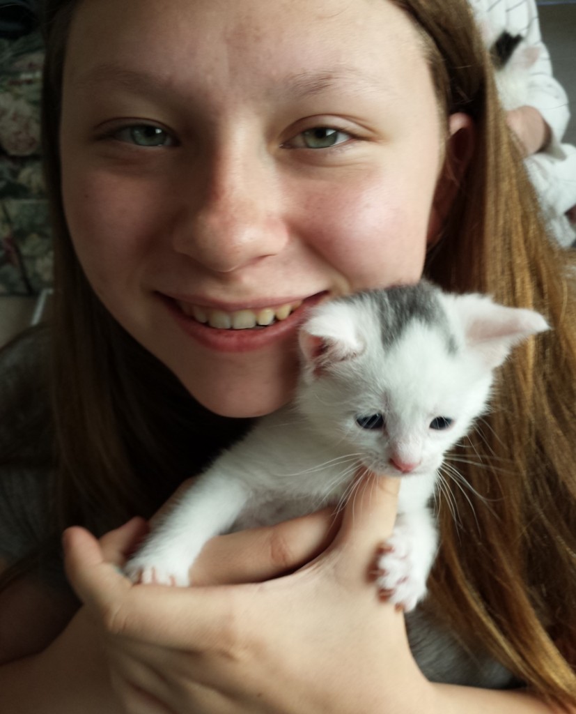 Kitty Rescue
