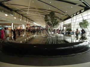 DSCF1007