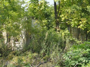 Remnants of abandoned concrete house where my daughters lived with their first mother.