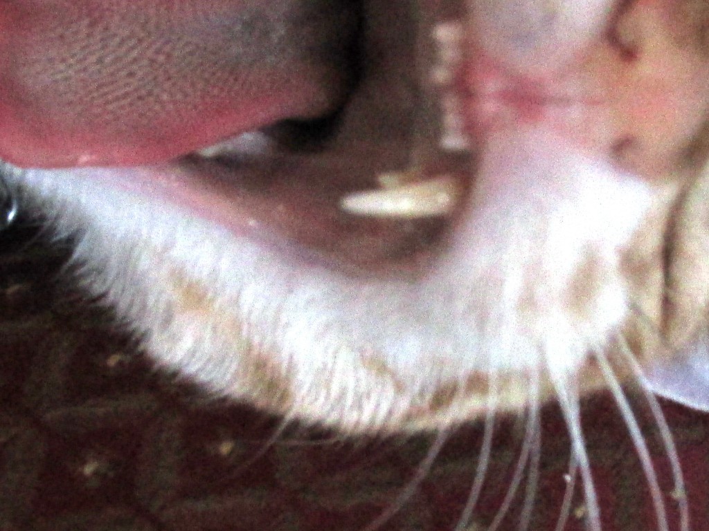 ???????????????????????????????