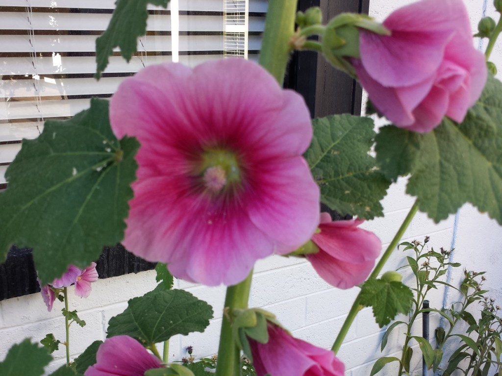 20140630_183324
