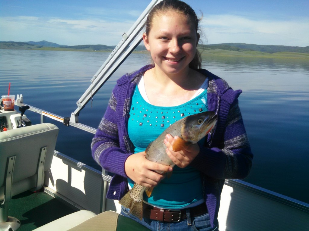 y sarah fish