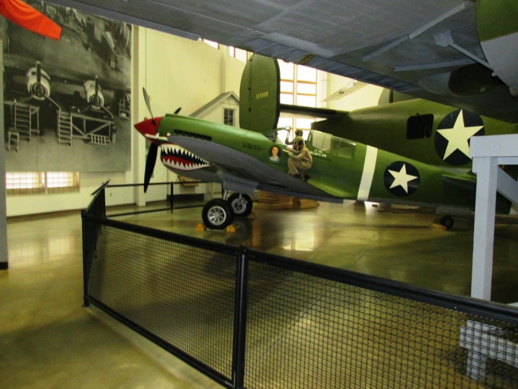 Shark Plane