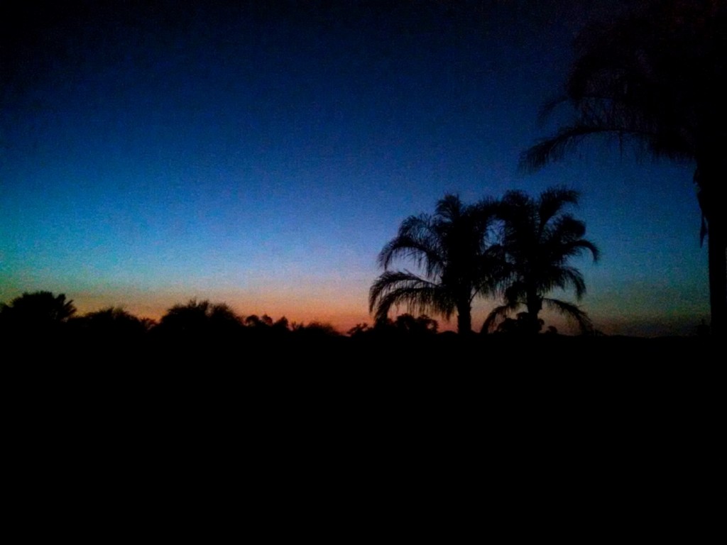 San Diego Evening View