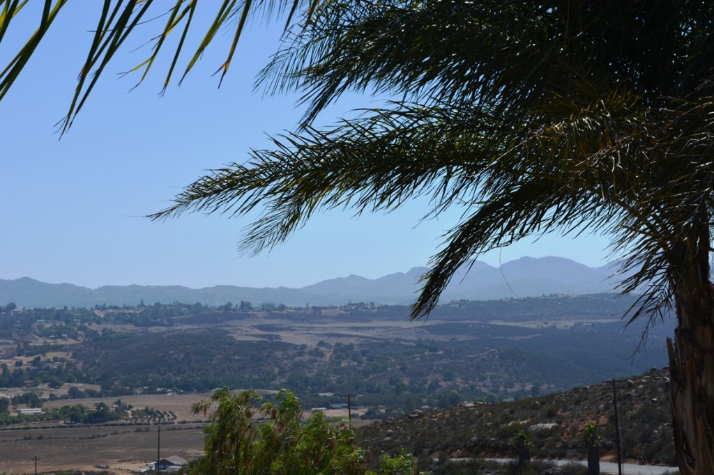 San Diego House Day