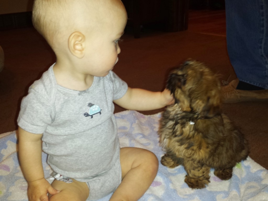 James Simmons and Elmo