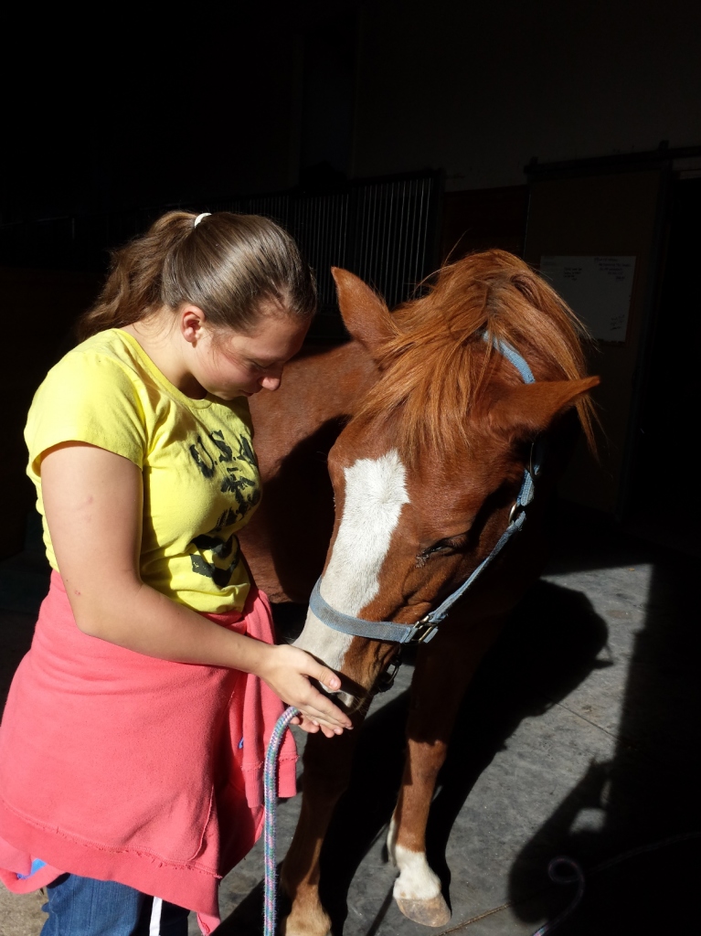 Sarah Simmons Horse Lessons