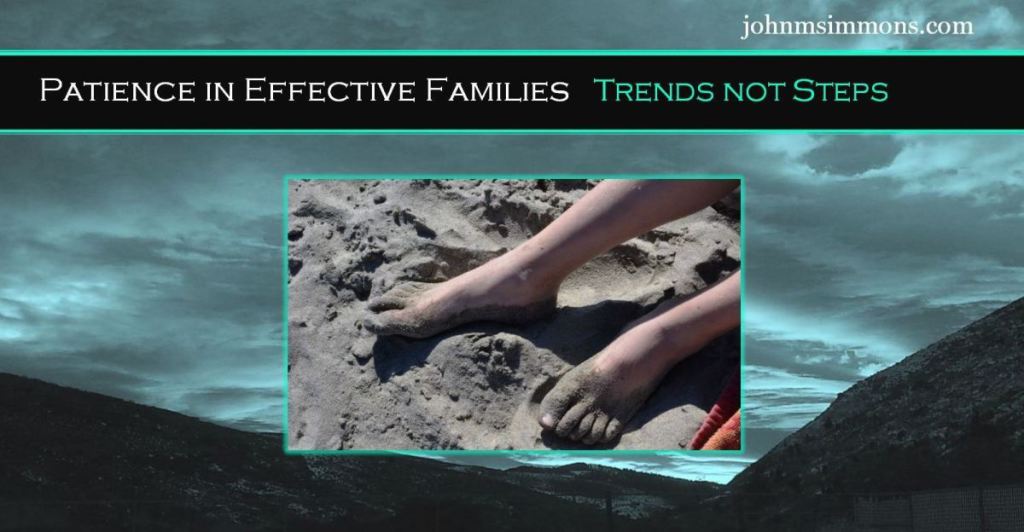 Patience Within Effective Families 3