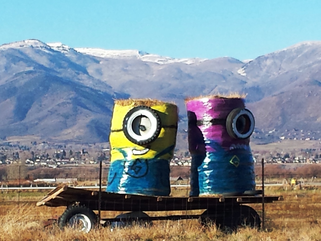 Hay Bale Minions