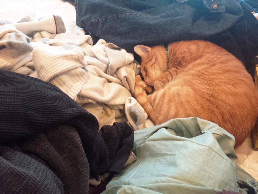 Jenya and the Laundry John M Simmons