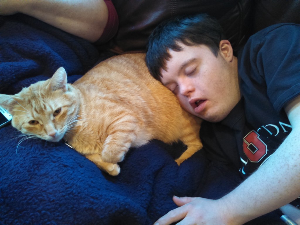 Jack Simmons Cat Napping
