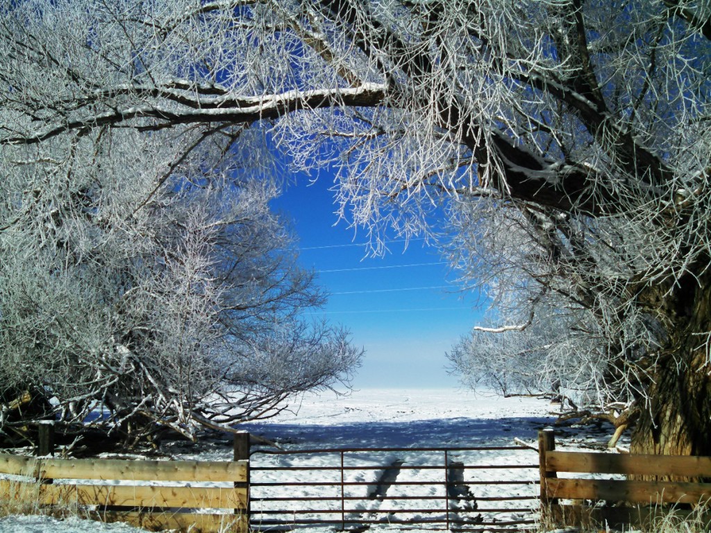 Winter on a mountain farm
