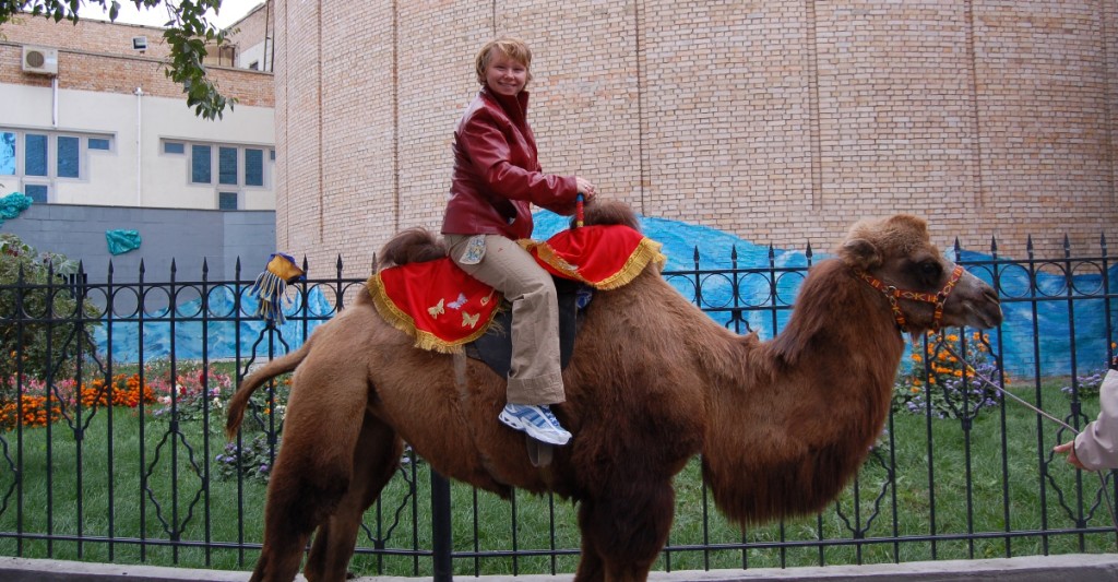 Emily Simmons Camel